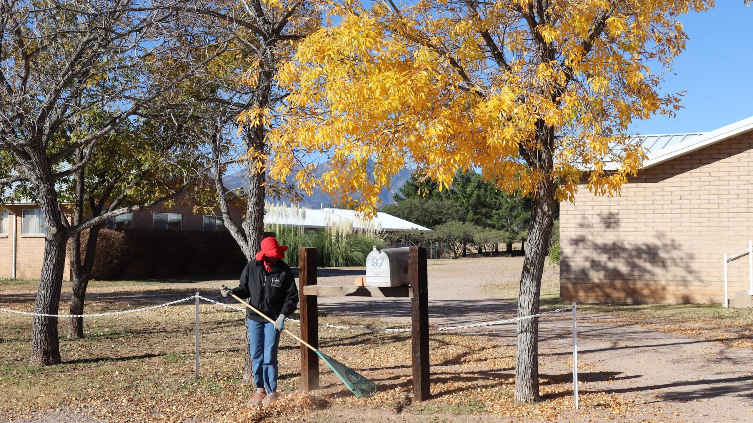 A nun is raking leaves by the road on the front lawn of an abbey