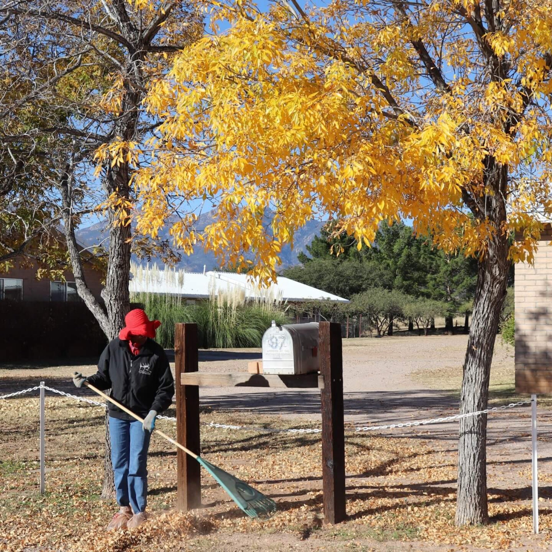 20211113n_SRA_Photos_Hildegard_raking_leaves (3b)